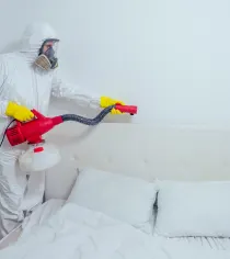 Bed Bug Control Cleaning Solutions